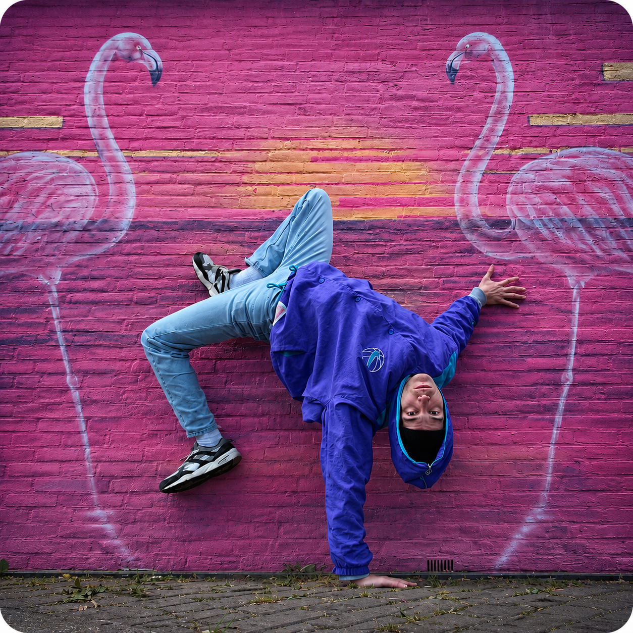 Ronald doet een freeze voor een roze flamingo muur